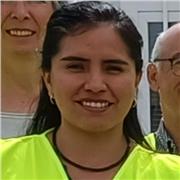 Imparto clases de matemáticas y física a niñ@s y adolescentes en edad escolar
